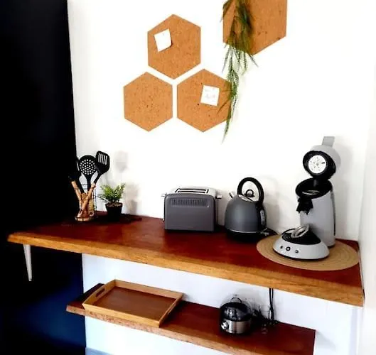 De Charme Abelia Avec Exterieur Au Calme * Lavaur (Tarn)